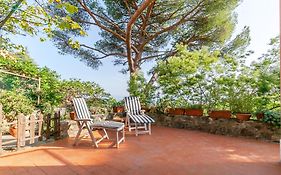 Al Grande Pino - A Picco Sul Mare